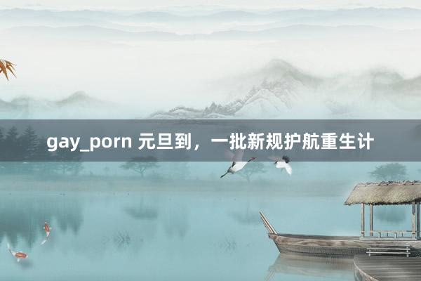 gay_porn 元旦到，一批新规护航重生计