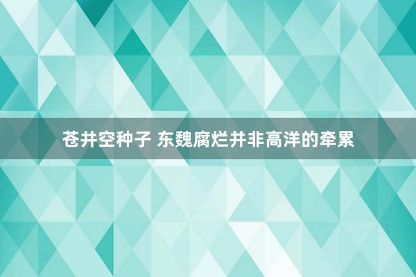 苍井空种子 东魏腐烂并非高洋的牵累