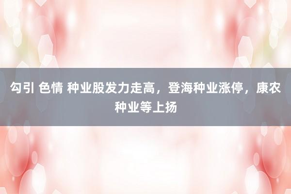 勾引 色情 种业股发力走高，登海种业涨停，康农种业等上扬
