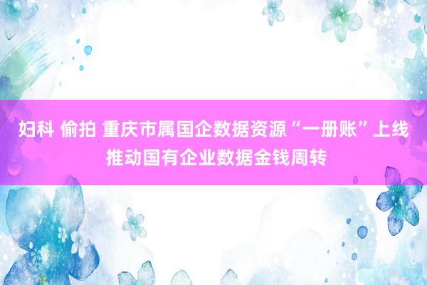 妇科 偷拍 重庆市属国企数据资源“一册账”上线 推动国有企业数据金钱周转