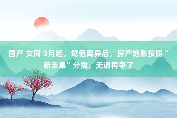 国产 女同 3月起，鸳侣离异后，房产饱胀按照“新圭臬”分拨，无谓再争了