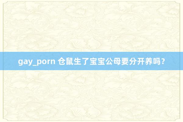 gay_porn 仓鼠生了宝宝公母要分开养吗？
