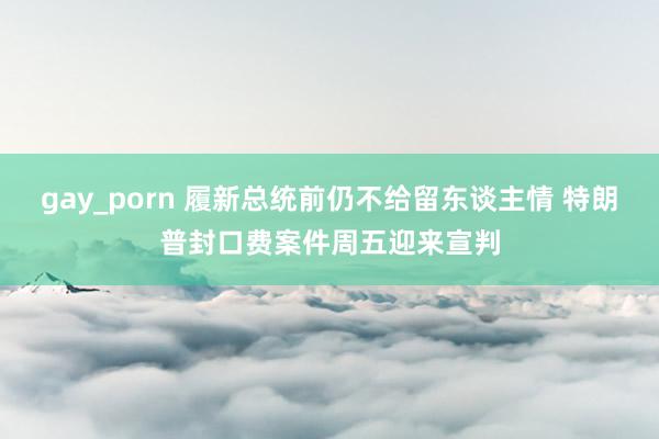 gay_porn 履新总统前仍不给留东谈主情 特朗普封口费案件周五迎来宣判
