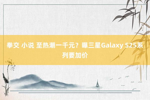 拳交 小说 至热潮一千元？曝三星Galaxy S25系列要加价