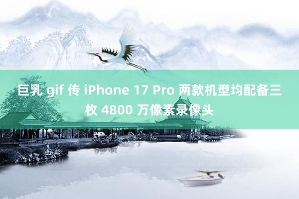 巨乳 gif 传 iPhone 17 Pro 两款机型均配备三枚 4800 万像素录像头