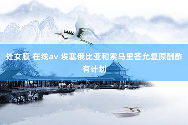 处女膜 在线av 埃塞俄比亚和索马里答允复原酬酢有计划