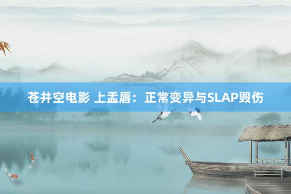 苍井空电影 上盂唇：正常变异与SLAP毁伤