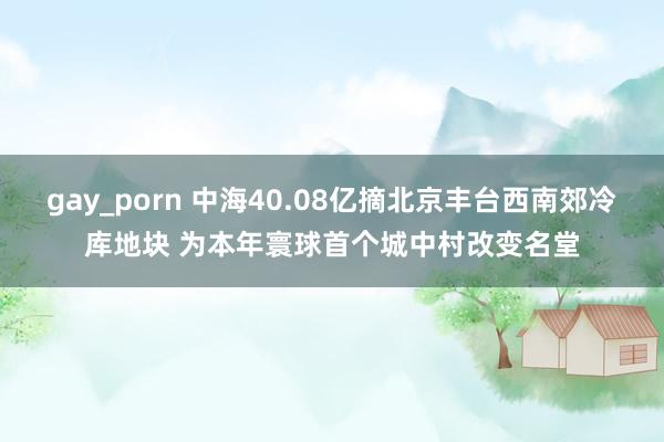 gay_porn 中海40.08亿摘北京丰台西南郊冷库地块 为本年寰球首个城中村改变名堂