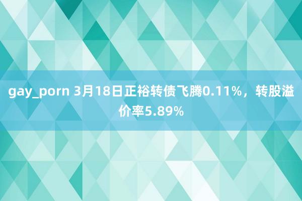gay_porn 3月18日正裕转债飞腾0.11%,转股溢价率5.89%
