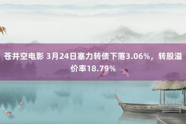 苍井空电影 3月24日塞力转债下落3.06%，转股溢价率18.79%