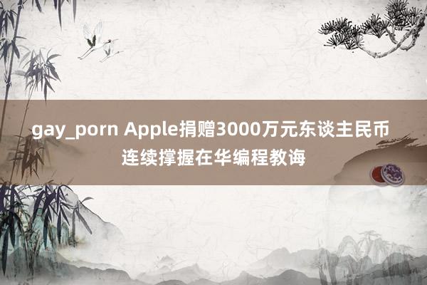 gay_porn Apple捐赠3000万元东谈主民币 连续撑握在华编程教诲