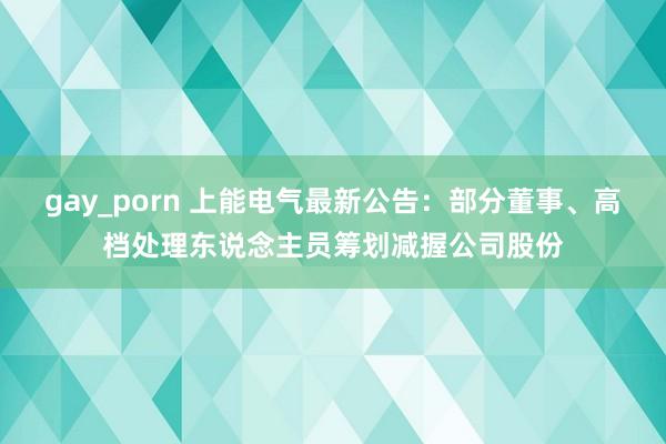 gay_porn 上能电气最新公告：部分董事、高档处理东说念主员筹划减握公司股份