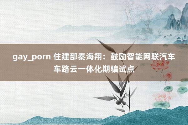 gay_porn 住建部秦海翔：鼓励智能网联汽车车路云一体化期骗试点