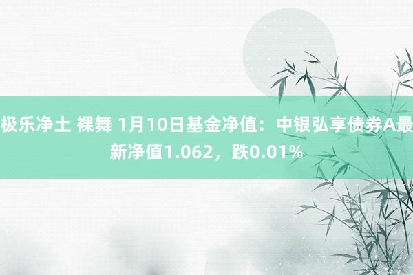 极乐净土 裸舞 1月10日基金净值：中银弘享债券A最新净值1.062，跌0.01%