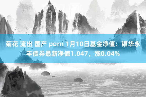 菊花 流出 国产 porn 1月10日基金净值：银华永丰债券最新净值1.047，涨0.04%