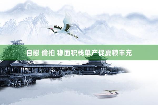 自慰 偷拍 稳面积栈单产促夏粮丰充