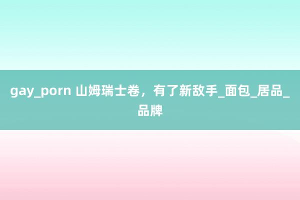 gay_porn 山姆瑞士卷，有了新敌手_面包_居品_品牌