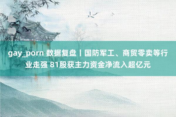 gay_porn 数据复盘丨国防军工、商贸零卖等行业走强 81股获主力资金净流入超亿元