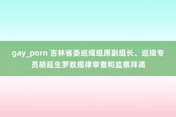 gay_porn 吉林省委巡缉组原副组长、巡缉专员胡延生罗致规律审查和监察拜谒
