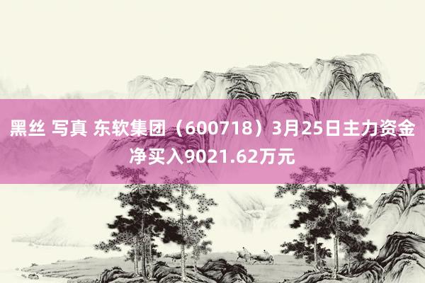 黑丝 写真 东软集团（600718）3月25日主力资金净买入9021.62万元