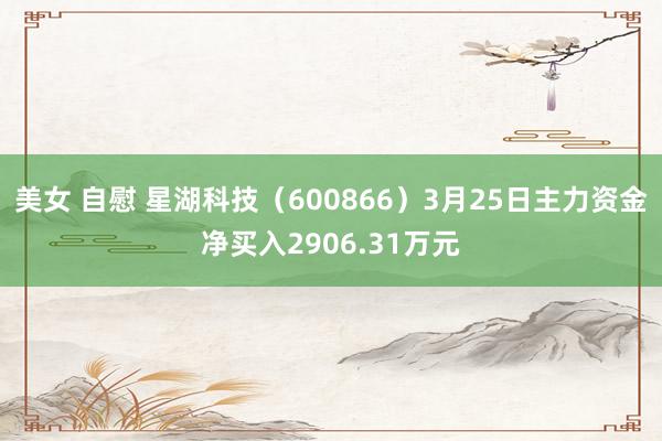 美女 自慰 星湖科技（600866）3月25日主力资金净买入2906.31万元