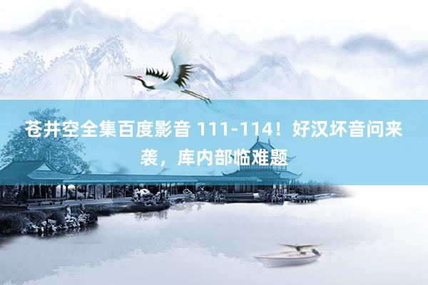 苍井空全集百度影音 111-114！好汉坏音问来袭，库内部临难题