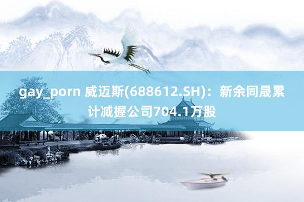 gay_porn 威迈斯(688612.SH)：新余同晟累计减握公司704.1万股
