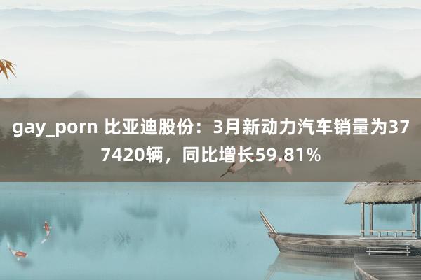 gay_porn 比亚迪股份：3月新动力汽车销量为377420辆，同比增长59.81%