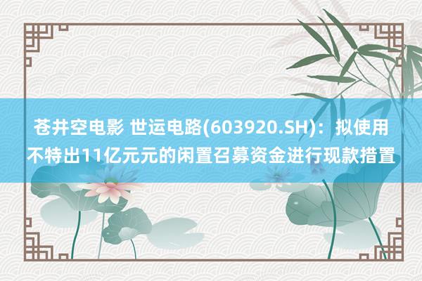 苍井空电影 世运电路(603920.SH)：拟使用不特出11亿元元的闲置召募资金进行现款措置