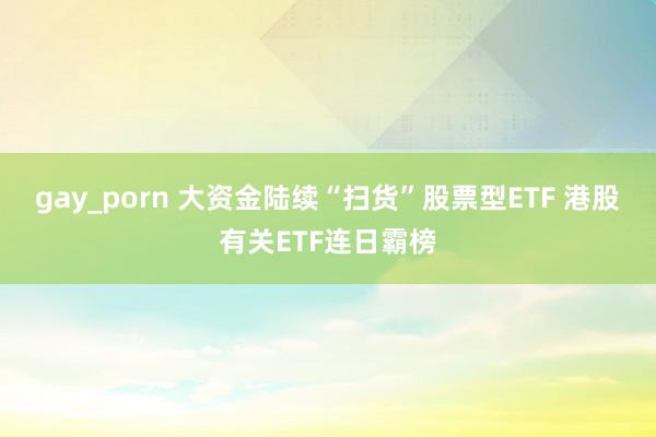 gay_porn 大资金陆续“扫货”股票型ETF 港股有关ETF连日霸榜