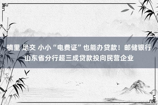 楠里 足交 小小“电费证”也能办贷款！邮储银行山东省分行超三成贷款投向民营企业
