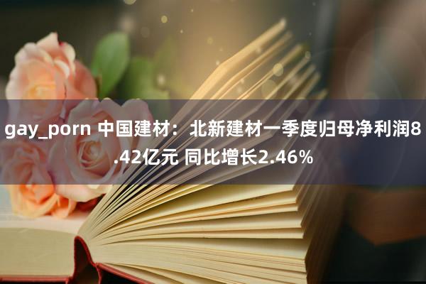 gay_porn 中国建材：北新建材一季度归母净利润8.42亿元 同比增长2.46%